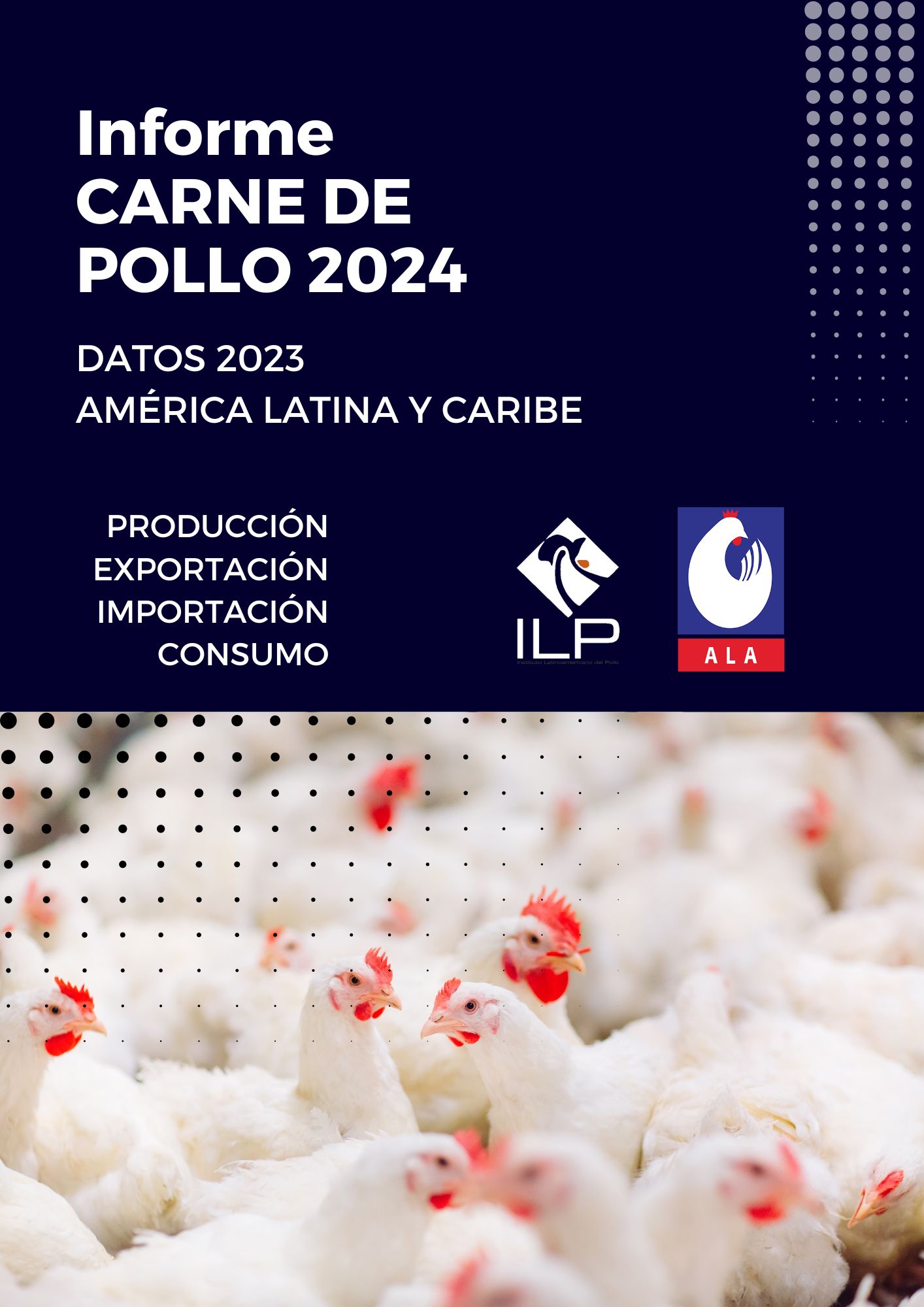 Informe CARNE DE POLLO 2024